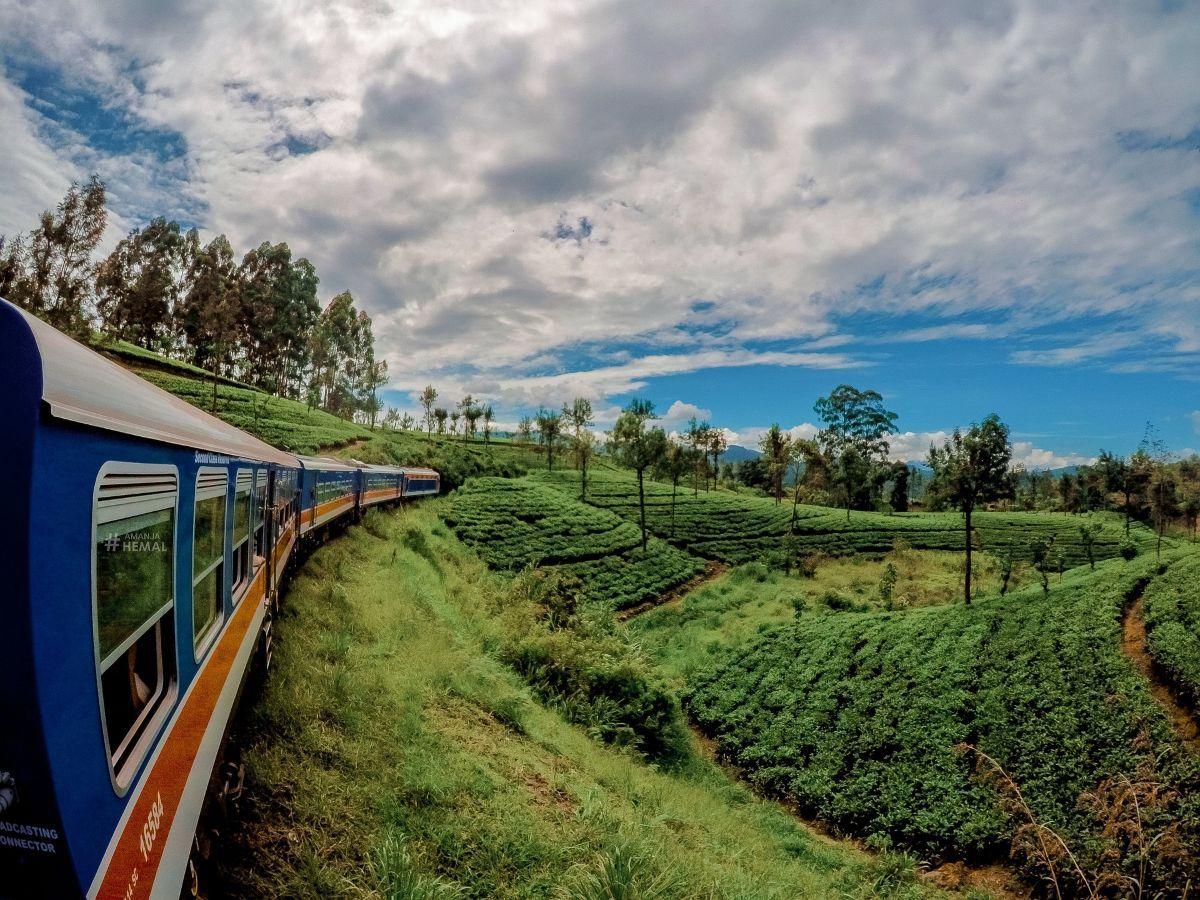 Teaültetvények és az Ella-vonat, Srí Lanka