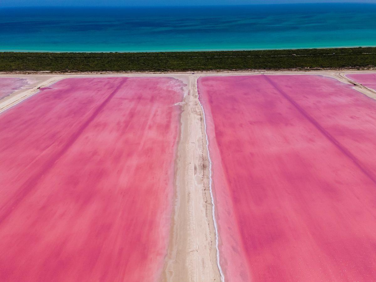 Las Coloradas r&oacute;zsasz&iacute;n lag&uacute;n&aacute;i a Yucat&aacute;n-f&eacute;lszigeten Mexik&oacute;ban