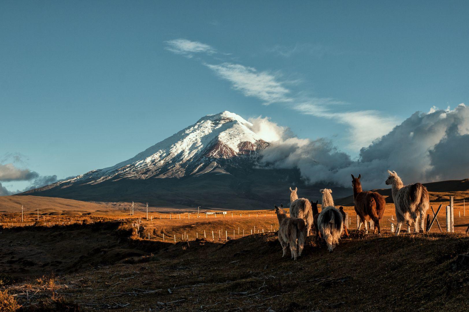 Cotopaxi vulk&aacute;n h&oacute;f&ouml;dte cs&uacute;csa l&aacute;m&aacute;kkal Ecuadorban