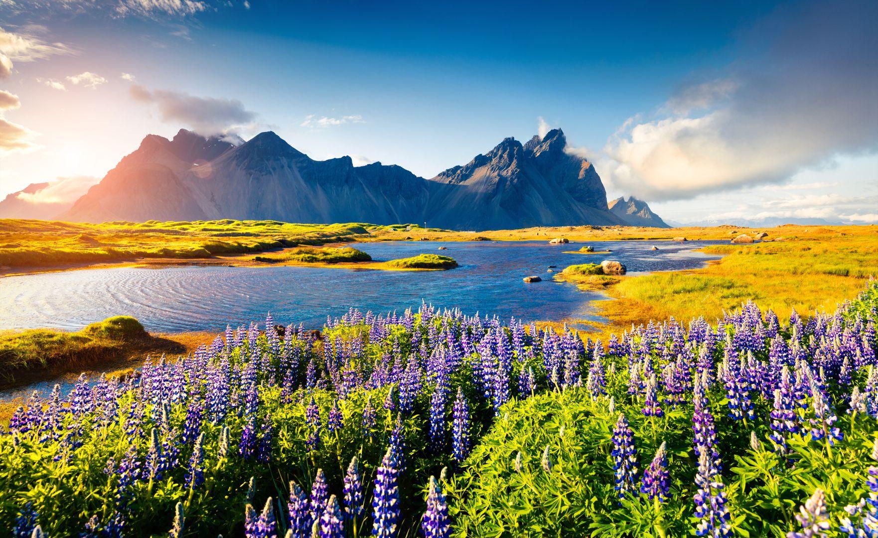 Vestrahorn hegyei &eacute;s vir&aacute;gz&oacute; izlandi t&aacute;j