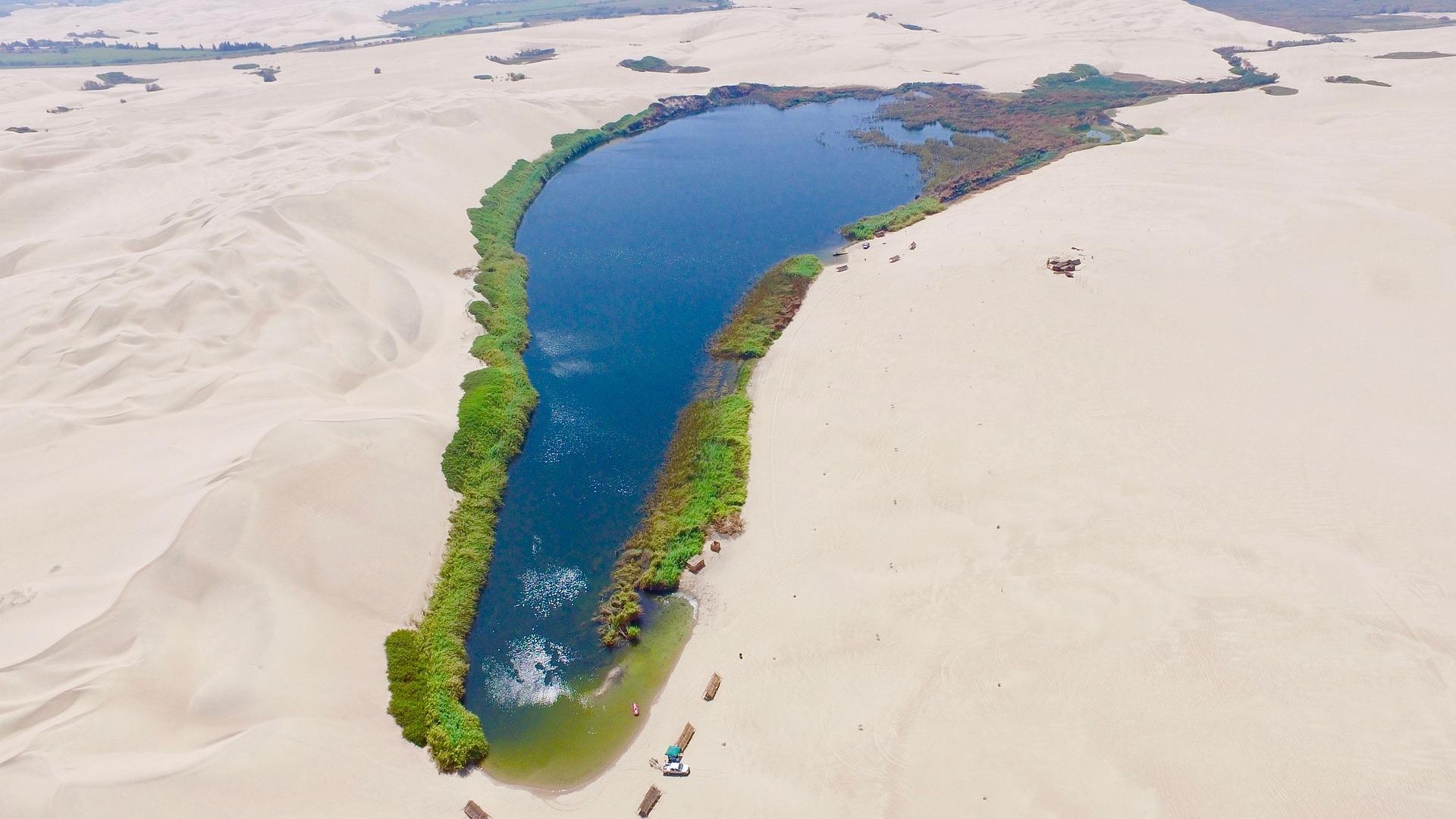Huacachina sivatagi o&aacute;zisa p&aacute;lmaf&aacute;kkal Peruban
