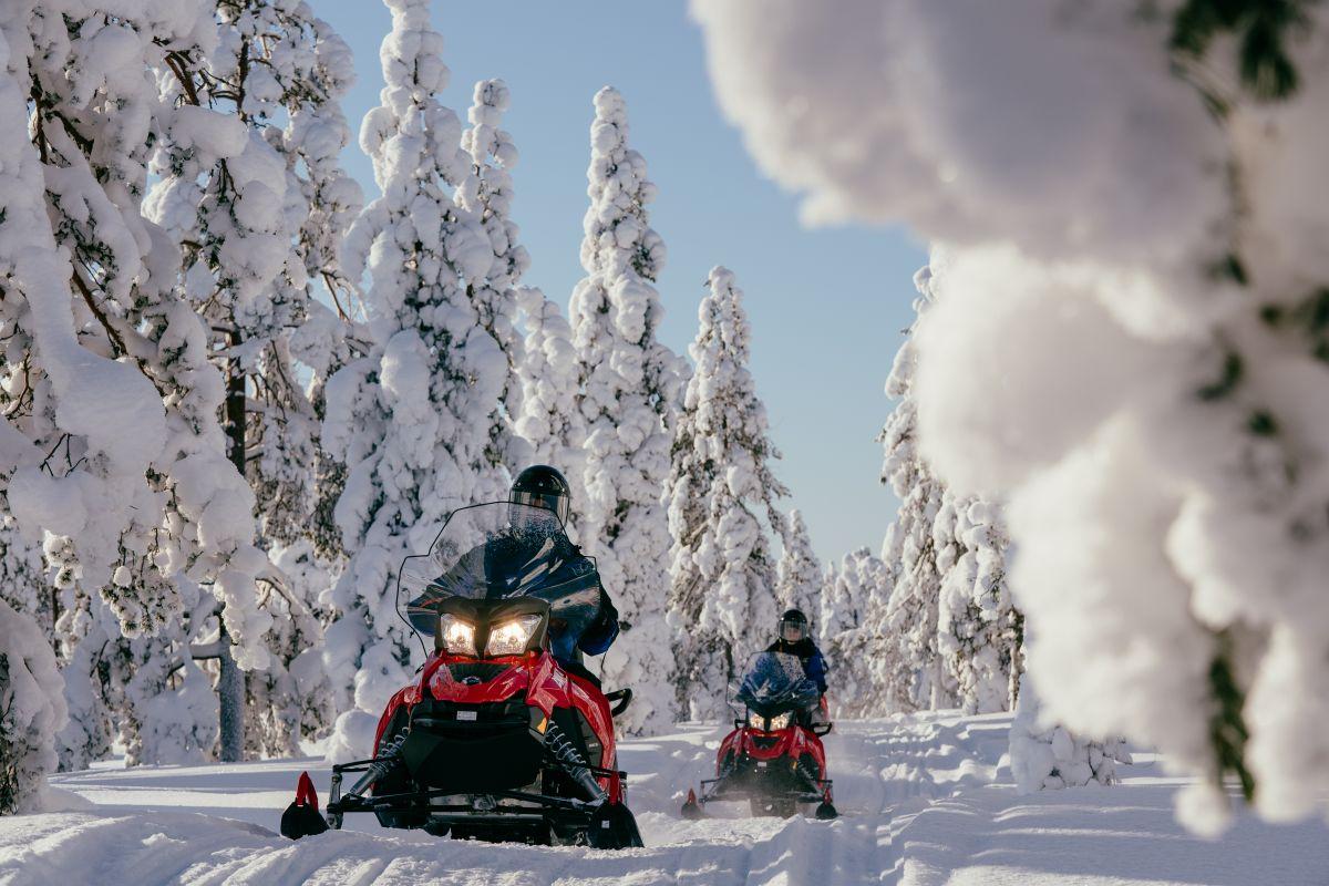 Motorossz&aacute;nok h&oacute;bor&iacute;totta fenyők k&ouml;z&ouml;tt