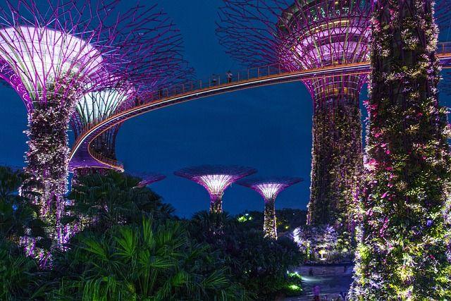 Gardens by the Bay kivil&aacute;g&iacute;tott szuperf&aacute;i &eacute;jszaka Szingap&uacute;rban