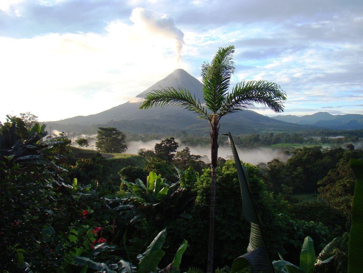 Arenal vulk&aacute;n p&aacute;lmaf&aacute;kkal &eacute;s tr&oacute;pusi t&aacute;jjal Costa Ric&aacute;ban