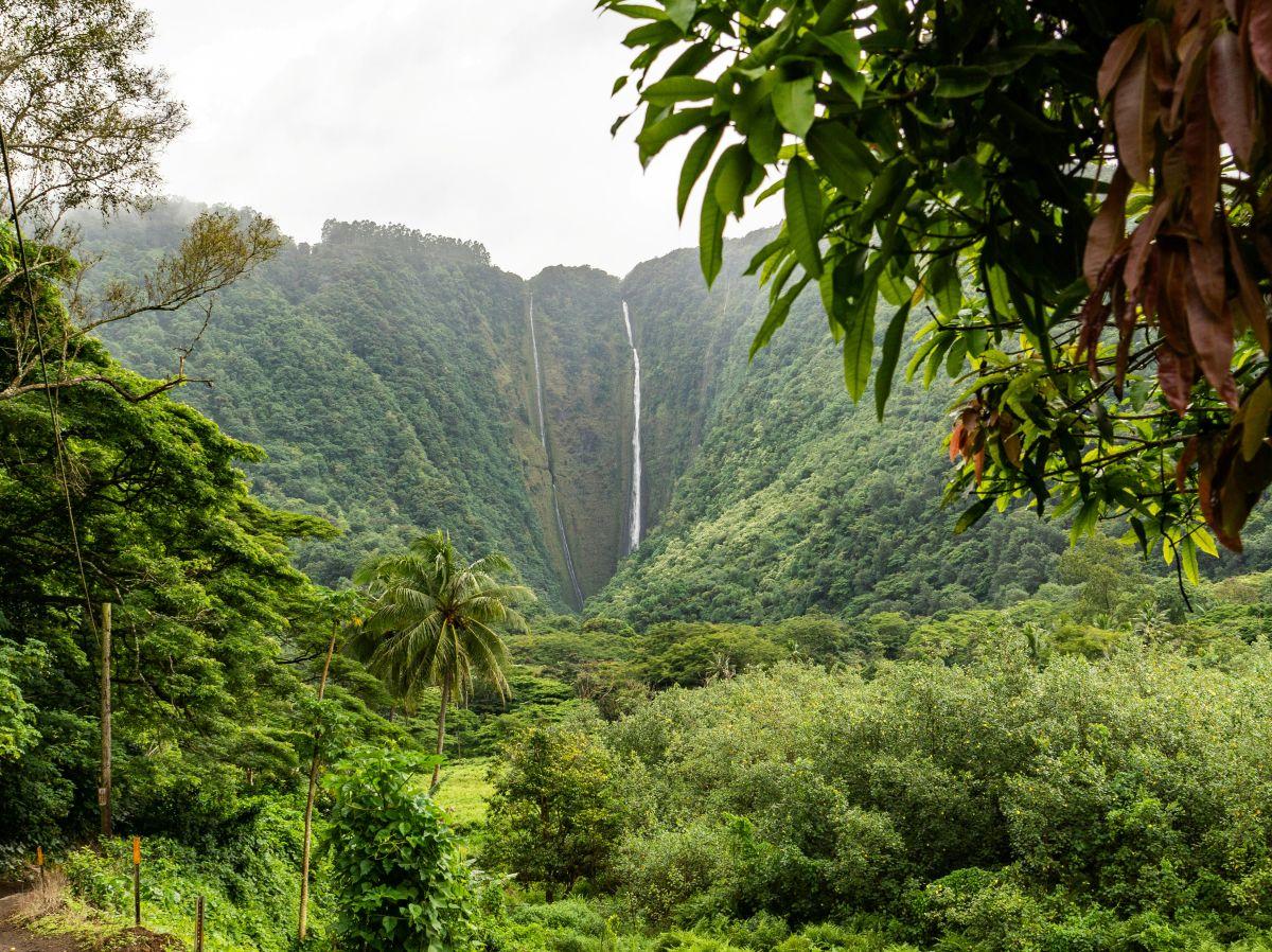 Tr&oacute;pusi v&ouml;lgy &eacute;s v&iacute;zes&eacute;s panor&aacute;m&aacute;ja Hawaii Nagy-sziget&eacute;n
