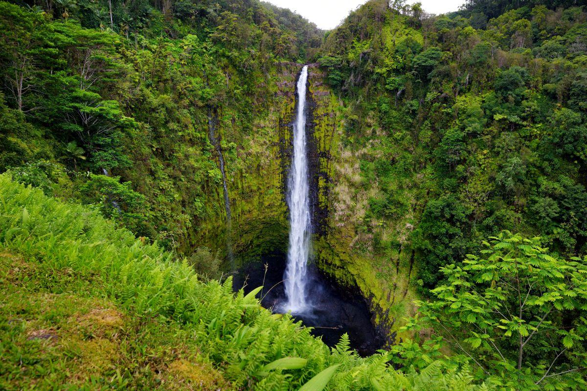 Akaka Falls v&iacute;zes&eacute;s tr&oacute;pusi szurdokban Hawaii Nagy-sziget&eacute;n