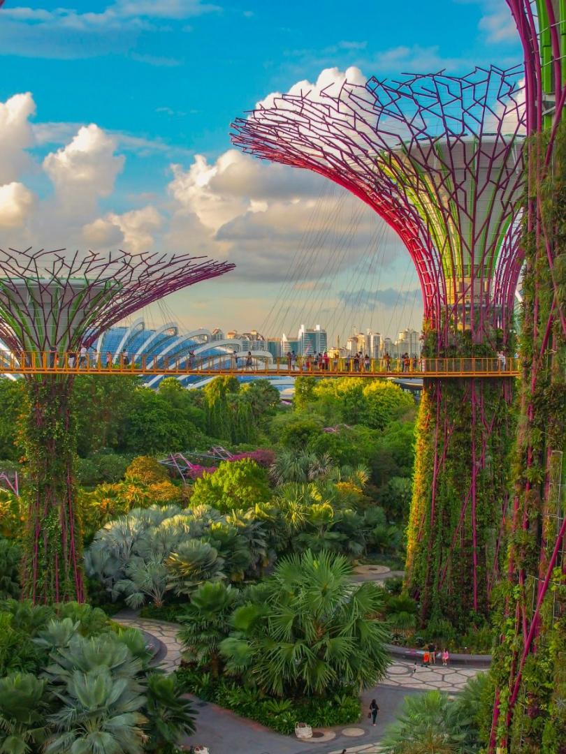 Gardens by the Bay szuperf&aacute;i &eacute;s s&eacute;t&aacute;nyh&iacute;dja Szingap&uacute;rban